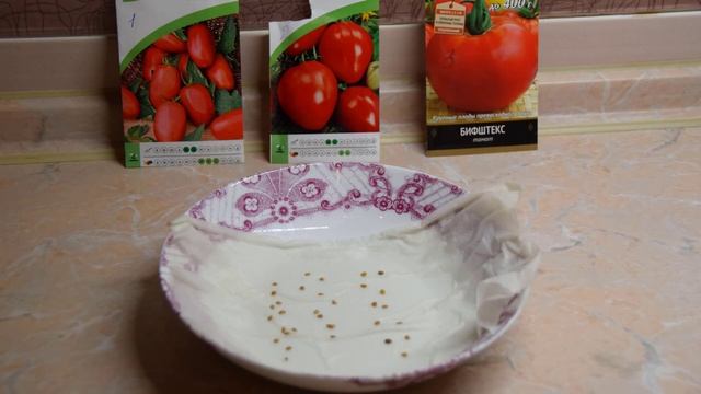 Как прорастить семена томатов для посадки на рассаду смотреть онлайн