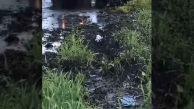 Yamaha Grizzly 660.багги мешаем грязь смотреть онлайн