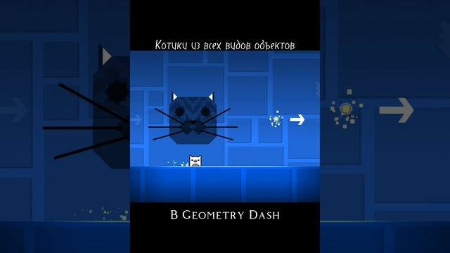 Котики из всех видов объектов? смотреть онлайн