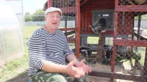 Обязательно делайте это с молодой птицей.