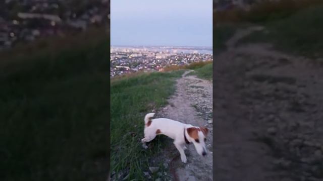 на Лопатиной горе, Саратов смотреть онлайн