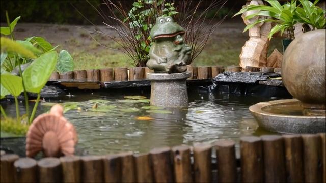 4 часа Расслабляющего звука дождя для сна и медитации с видом на лягушку в пруду смотреть онлайн