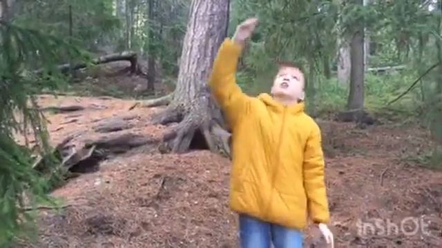 Zveroznayka. Выпуск 7. Скорость сапсан при пикировании. смотреть онлайн