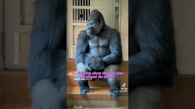 that one time he played the drums смотреть онлайн