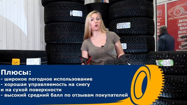 Лучшие всесезонные шины / Pirelli и Michelin / Плюсы и Минусы смотреть онлайн