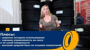Лучшие всесезонные шины / Pirelli и Michelin / Плюсы и Минусы