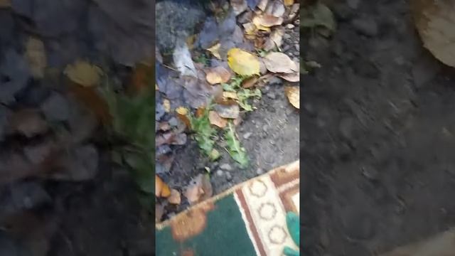 Снятие обводной муфты компрессора Гранд Старекс смотреть онлайн