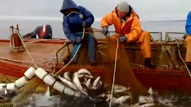 рыбалка артелью смотреть онлайн