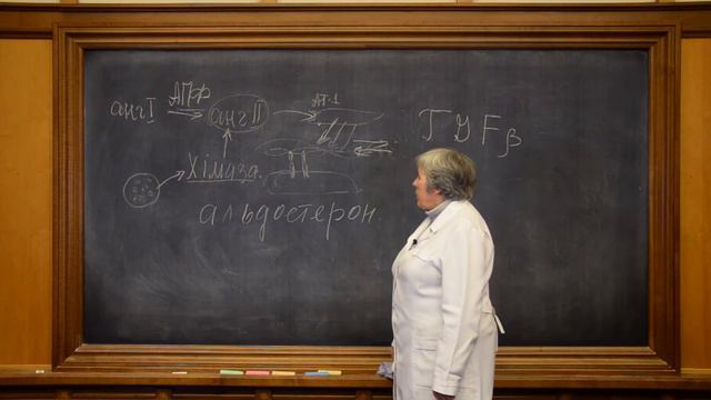 7. Роль сполучнотканинних компонентів ч.2 смотреть онлайн