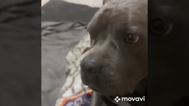 стафф решил поговорить? смотреть онлайн