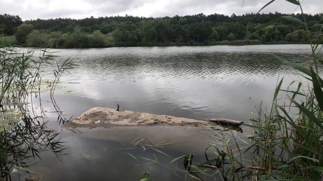 7 июля 2021 г. смотреть онлайн