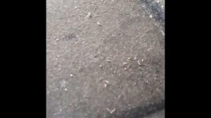 Расширительный бачок УАЗ
