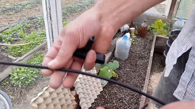 ЛУЧШИЙ КАПЕЛЬНЫЙ ПОЛИВ. Установка и сборка капельного полива. Капельное орошение. Фирма "Цикл"." смотреть онлайн