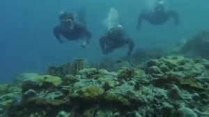 Спасите конкорд 1979 HDRip