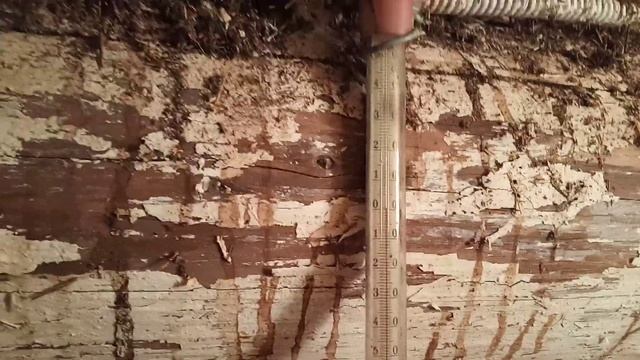 VID Мой омшанник ( зимовник ) , для зимовки пчёл . смотреть онлайн