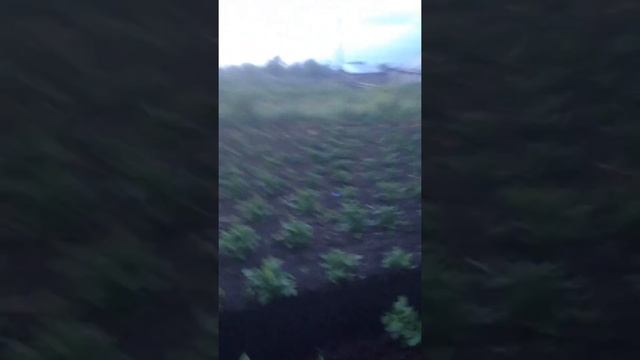 Мотоблок урал с китайским двигателем смотреть онлайн