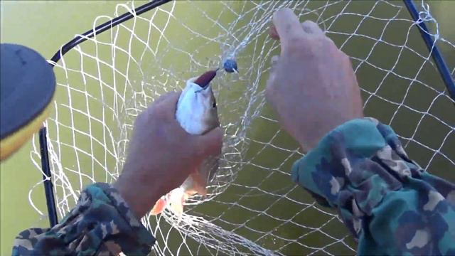 С Романом на ДРУГЛЙ ДЕНЬ РЫБАЛКИ/!!! смотреть онлайн