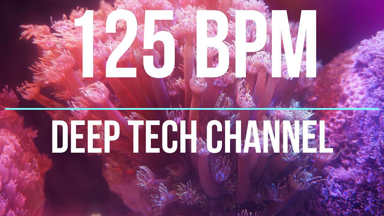 /MELODIC TECH/DEEP HOUSE/VOCAL TECH/