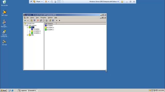 SAP Start process смотреть онлайн