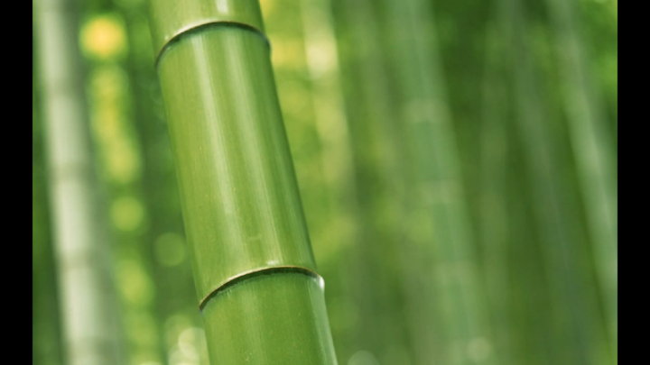  Nature Slideshow - 2013