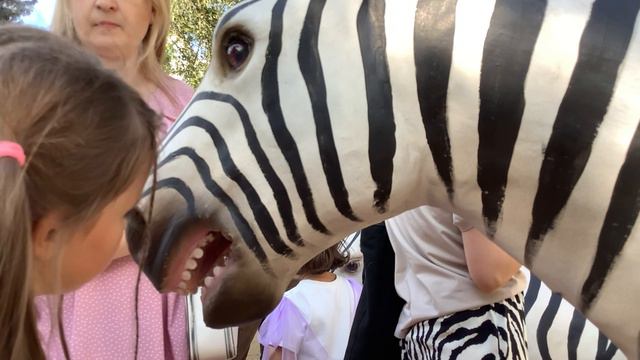 Зебра смотреть онлайн