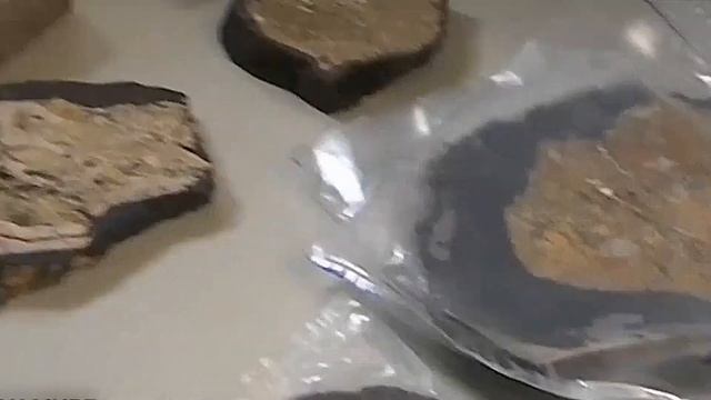 Образцы полезных ископаемых со дна Тихого океана добыли российские геологи. смотреть онлайн