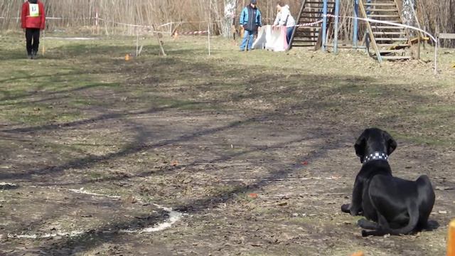 Рязань 21 04 18 смотреть онлайн