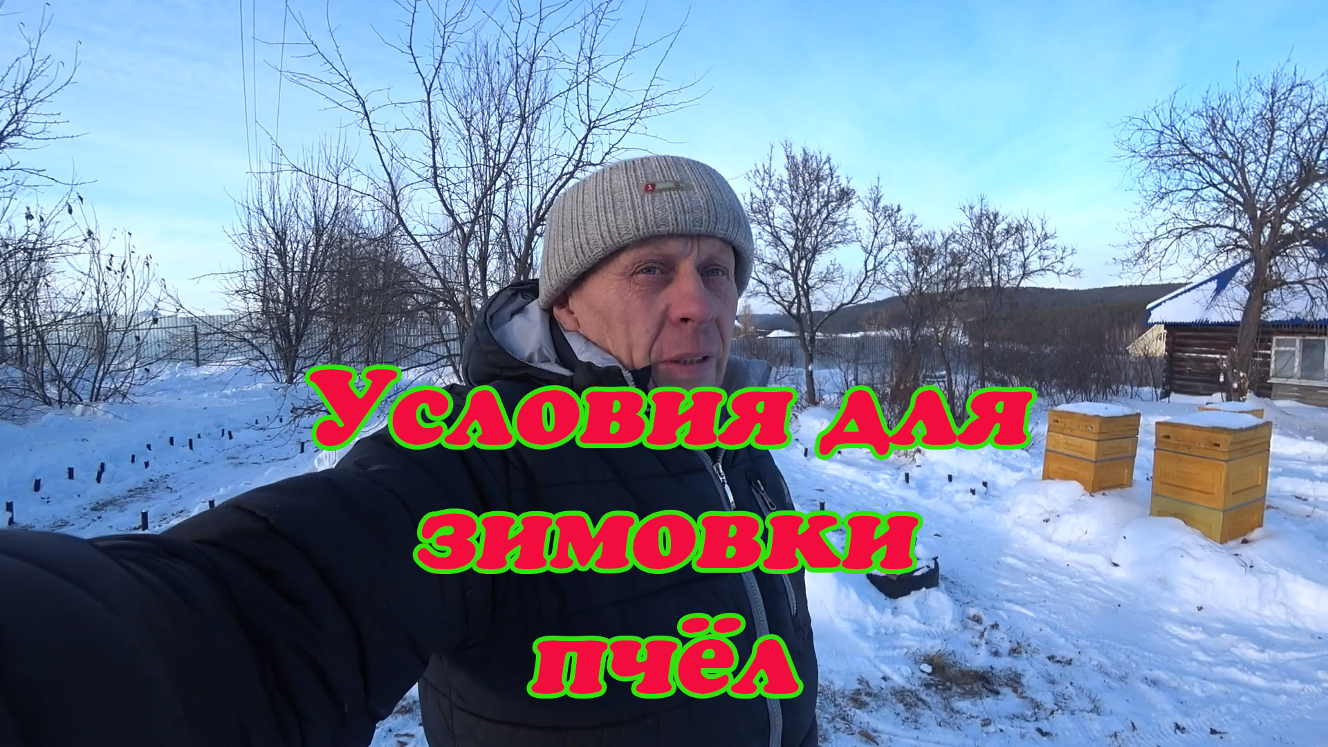 ДЛЯ ЧЕГО ПОДДЕРЖИВАЮ НИЗКУЮ ТЕМПЕРАТУРУ В ЗИМОВНИКЕ, ПРИ ЗИМОВКЕ ПЧЁЛ ВО ВТОРОЙ ПОЛОВИНЕ ЗИМЫ. смотреть онлайн