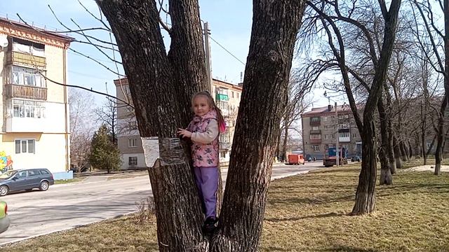 Посадил ребенка на дерево. Алисе нравится.