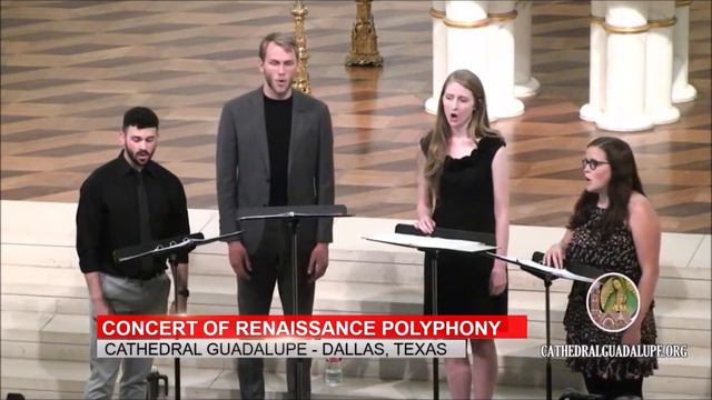 Concert of Renaissance Philosophy Quod Balensi II Bianco e dolce cigno Jacob Arcadelt смотреть онлайн