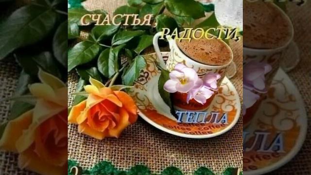 Сосо Павлиашвили. Доброе утро солнце 💕 смотреть онлайн