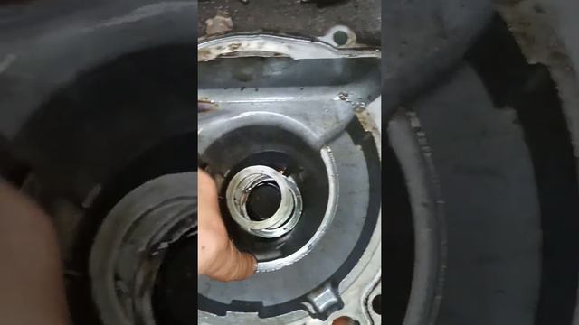 VID 20220809 102047 смотреть онлайн