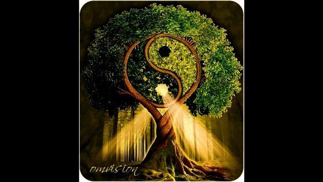 50 уроков которые изменят твою жизнь