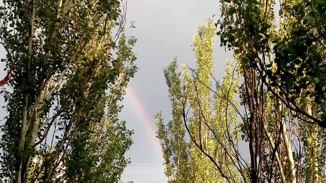 радуга на небе после дождя смотреть онлайн
