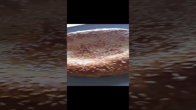 VID_20240103_144953.mp4