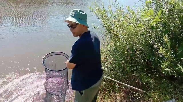 Ловля карпа. рк Дурыкино смотреть онлайн