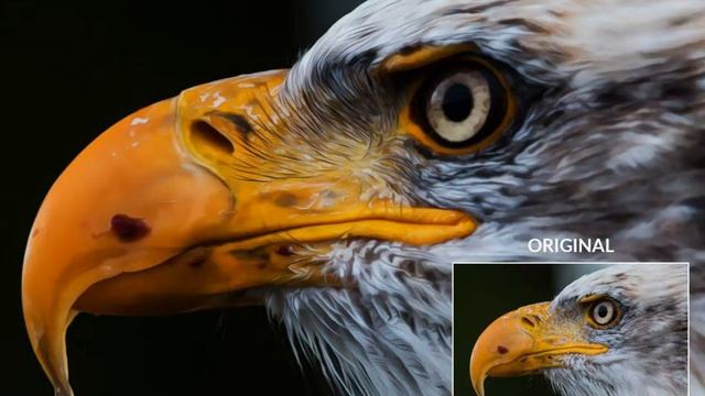 Professional Photoshop Actions: Oil Paint Photoshop Action смотреть онлайн