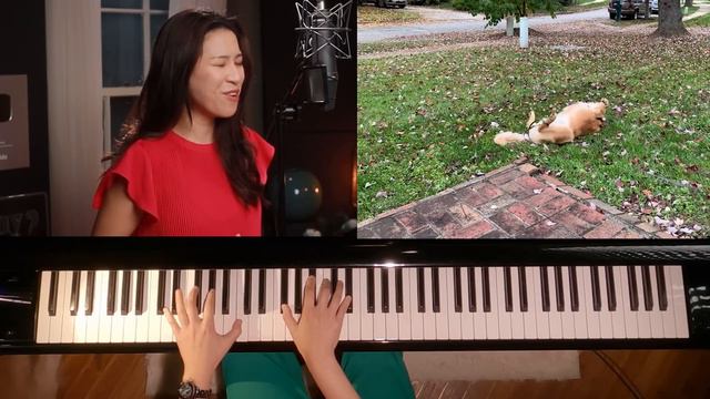Can't Take My Eyes Off You - Cover by Sangah Noona - Vocal & Piano - Featuring Her Golden Retriever смотреть онлайн