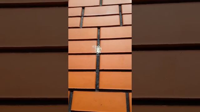 Заливка ппу в стены лайфхак - вода смотреть онлайн