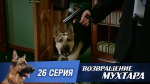 «Возвращение Мухтара»: «Заложник» (1 сезон. 26 серия)