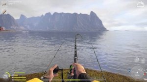 Русская рыбалка 4 ?  Норвежское море?  троф на донку! ?