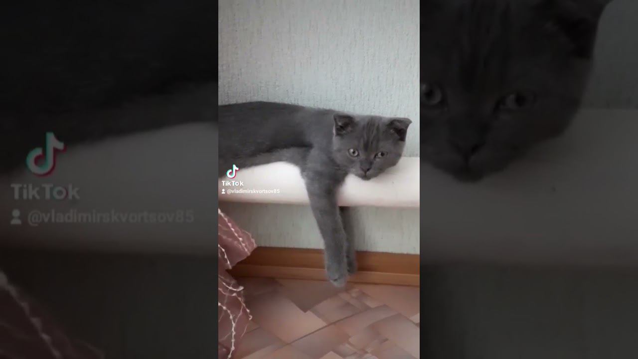 ну какая охота, я так устал.... смотреть онлайн