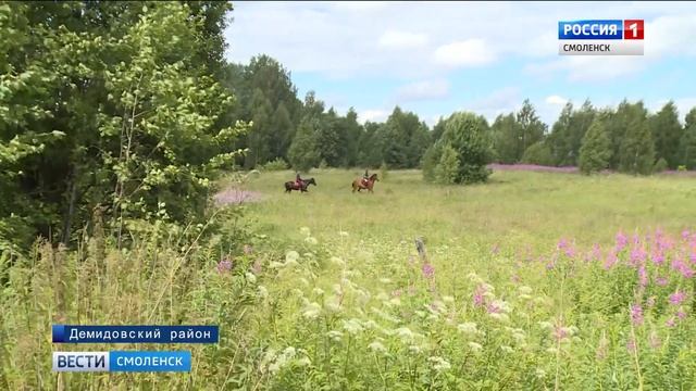 Смоленские зубры приспосабливаются к естественной среде смотреть онлайн