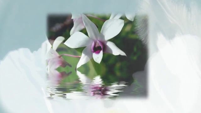 поздравления с 23 февраля прикольные смотреть онлайн