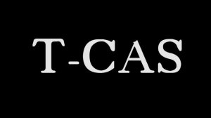 Alarms, T-CAS and GPWS of Boeing 737