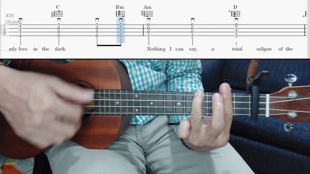Total Eclipse Of The Heart - Bonnie Tyler - Ukulele Chords & Lyrics @TeacherBob смотреть онлайн