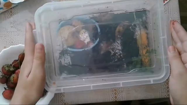 Наш завтрак|Даша ночевала у Лизы! смотреть онлайн
