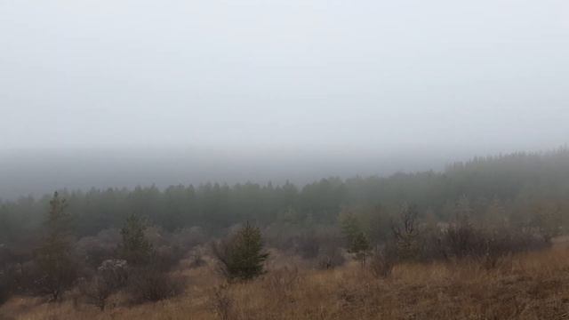 И Строгости Твоей дай путь пройти смотреть онлайн