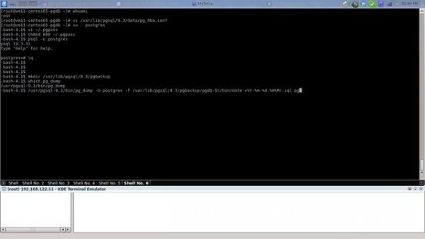 PostgreSQL backup with pg_dump