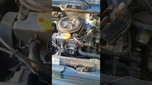 ока постоянно кипит